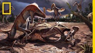 Moving a Ten-Ton Dino Deathtrap | National Geographic