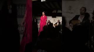 Alejandra Gonzalez "La Verea" Solea Flamenco en France