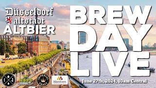June 2024 #Brewday LIVE | Dusseldorf Altbier | TRUB CLUB