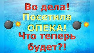 Деревенский дневник очень многодетной мамы \ Во дела! Посетила ОПЕКА! Что теперь будет?! \ Обзор