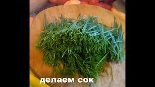 Зелёные ростки пшеницы и сок.