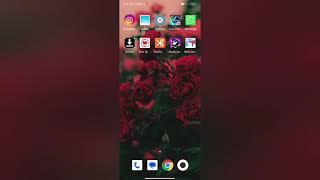 How to on dail ped tons in xiaomi 11i 5G