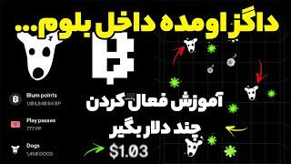 فعال کردن داگز داخل بلوم چطوری دریافتش کنیم ؟ اگه بالای 20 هزار تا بلوم داری ...