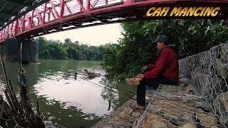 Mancing di bawah Jembatan merah Patikraja Banyumas