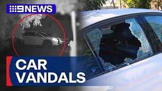 CCTV footage shows vandals smashing car window in Brisbane | 9 News Australia
