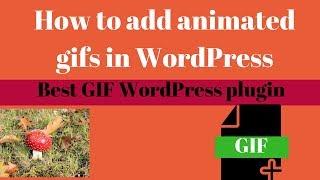 gif wordpress plugin How to Add Animated GIFs in WordPress