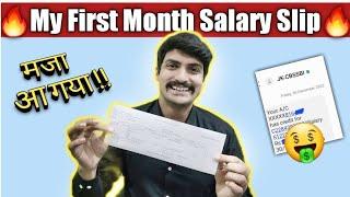 Salary Slip of Income Tax Inspector 