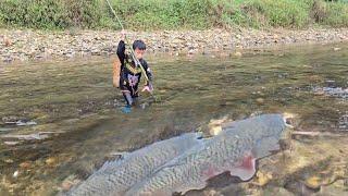 Fishing skills, Highland boy khai uses casuarina to catch fish, an ancient way of catching fish