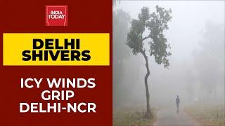 Delhi Shivers At 5 Degree Celsius, Bone Chilling Cold In Capital | Cold Wave In North India