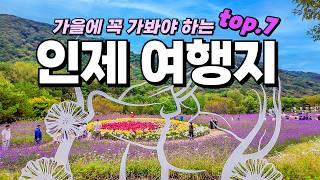 환상적인 가을 꽃을 볼 수 있는 인제가을꽃축제를 포함해서 인제 여행코스 7곳 소개해 드릴게요. 올 가을에는 여기에 꼭 가보세요!