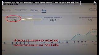 Сколько платит YouTube начинающему каналу, доход за первую неделю (аналитика канала - мой опыт)