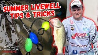 Summer Livewell Tips! Keep Your Fish Alive!