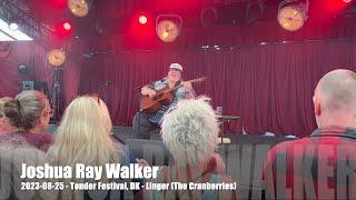 Joshua Ray Walker -  Linger (The Cranberries) - 2023-08-25 - Tønder Festival, DK
