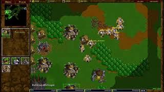 Warcraft 2 Garden of War 1v1 u8t3io3p vs [TD]Medivh