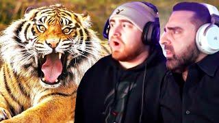 LosPollosTV And His Dad React To 5 More Horrible Ways Animals Can End You!