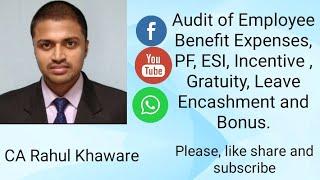 Audit of employee benefit expenses. CA Rahul Raj Khaware