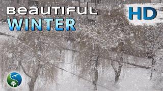 Lady Winter, BEAUTY Winter with SNOWFALL | Beautiful Video about WINTER View from the Window