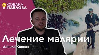 Лечение и профилактика малярии - Данила Коннов // москитные сетки, мефлохин, аэропортная малярия