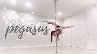 Pegasus | Pole Diaries