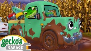 Muddy Trucks - Gecko's Garage | Trucks For Children | Cartoons For Kids