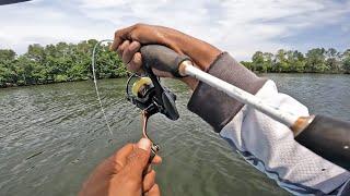 Mancing kakap di sungai