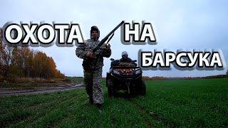 Как поставить капкан кп 250 на норе.Охота на барсука