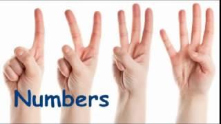 Learn French with Abir / How to read French numbers (les nombres)