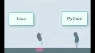 Java vs python meme