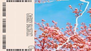 KOEL - Cherry Blossom (Sped up) [Official Audio]