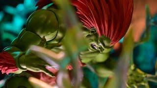 Storm Collectibles Street Fighter II: Blanka