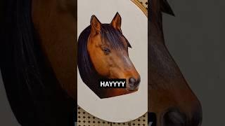 What does a gay horse eat?