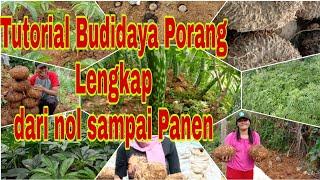 Tutorial Budidaya Porang Full,, dari Nol sampai Panen