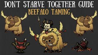 Don't Starve Together Guide: Beefalo Taming