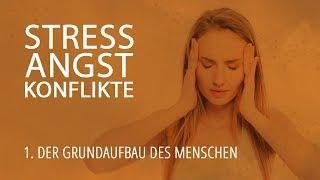 1 - Der Grundaufbau des Menschen | Stress, Angst, Konflikte