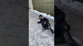 Snow slide (fail) #snowslide #fail #falling