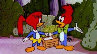 Don't Get Lost in the Woods | 2.5 Hours of Classic Episodes of Woody Woodpecker