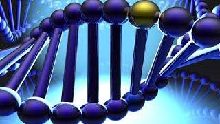 what is DNA (code of life) made of ?