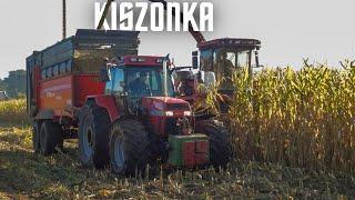 Extremalne Koszenie Kukurydzy na Kiszonkę  4xCase2xJohn Deere Valtra Renault Ursus [MIROL] MłodziTv