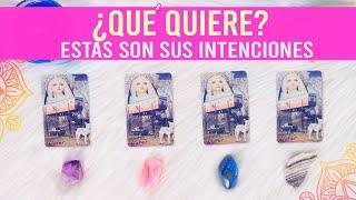 ¿Qué quiere?¿Cuáles son sus intenciones contigo? - Tarot interactivo 