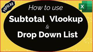How to use Subtotal and Vlookup in Excel | Drop Down List |