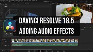 DaVinci Resolve 18.5 | Adding Audio Effects