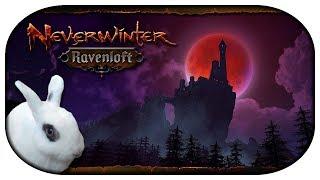 NEVERWINTER: Ravenloft  07 - Jagden in Barovia mit Tarokka Karten