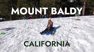 Mount Baldy Sledding with Kids | Snow Play in Southern California
