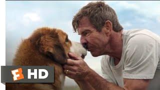 A Dog's Purpose (2017) - Bailey Comes Home Scene (10/10) | Movieclips