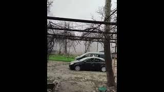 НА ТАНКЕ ДАВЯТ МАШИНЫ! Войска РФ ради потехи рушат Мариуполь, стреляют по домам, ломают деревья.