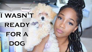 I Wasn't Ready For a Dog | Tips for New Puppy Owners + New Puppy Must Haves | Entrepreneur Life