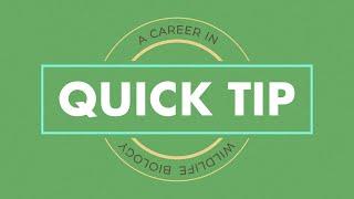 Quick Tips:  A Career in Wildlife Biology