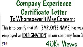Company Experience Letter Format | Experience Certificate for Employee in English | Letters Writing