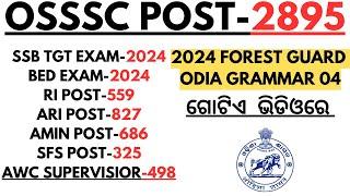 Odia Grammar Selected Questions For BEd SSB TGT SSD Junior Teacher osssc ri ari Amin sfs AWC 2024