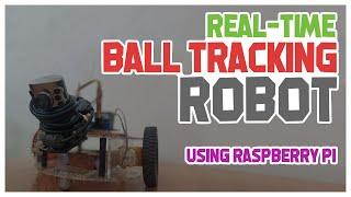 Empowering Robot Vision with a Raspberry Pi-based system for Real-Time Ball Tracking